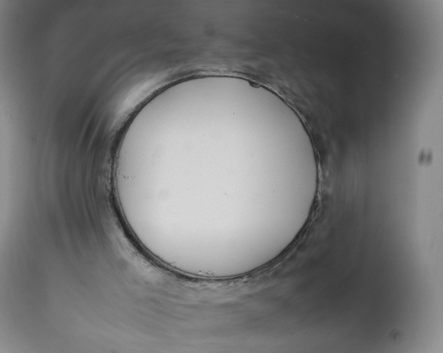 X0000111250005200907161416