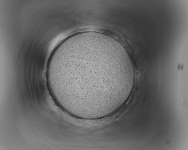 X0000111250006200907161416