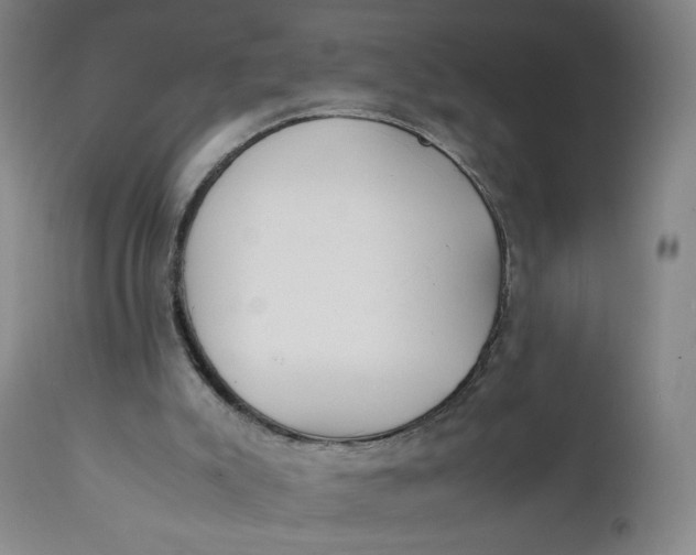 X0000111250007200907161416