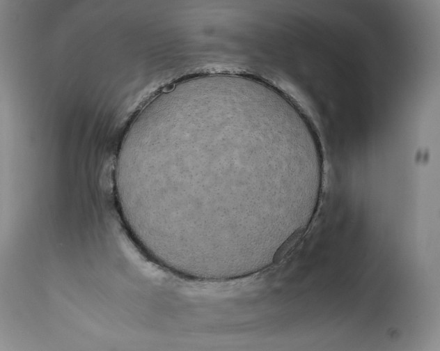 X0000111250009200907161416