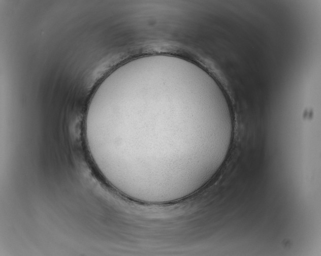 X0000111250010200907161416