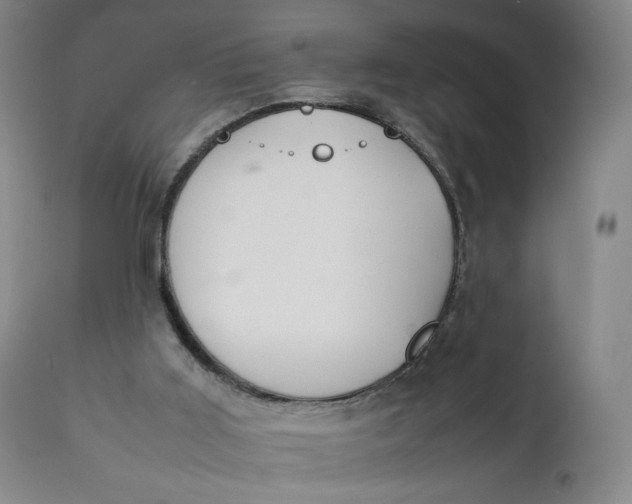 X0000111250011200907161416