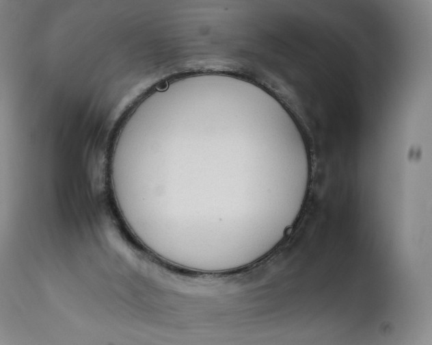 X0000111250012200907161416