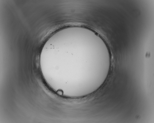 X0000111250013200907161416