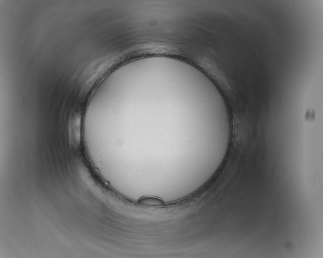 X0000111250014200907161416