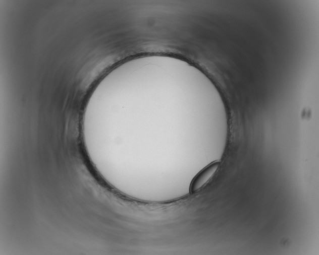 X0000111250015200907161416