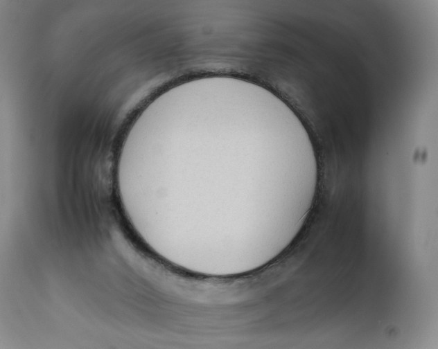 X0000111250016200907161416