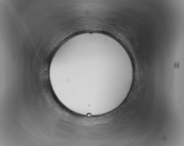 X0000111250017200907161416