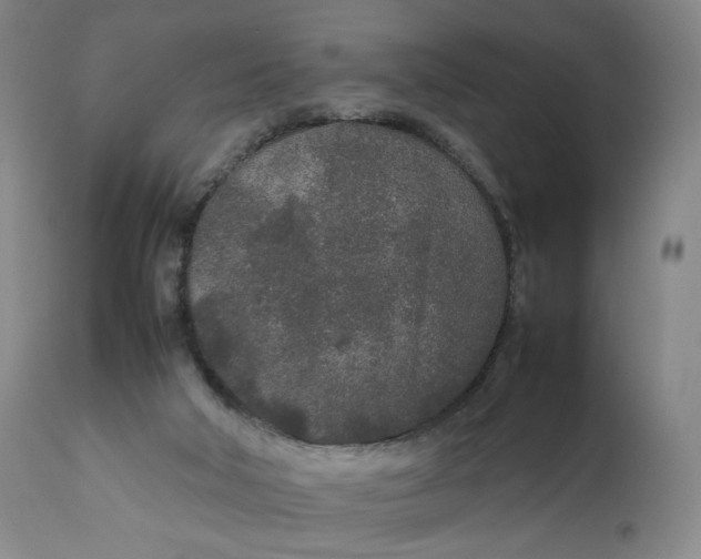 X0000111250018200907161416