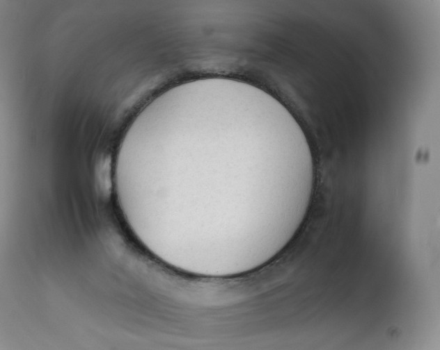 X0000111250020200907161416