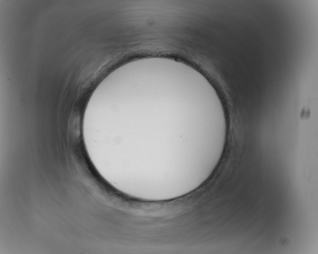 X0000111250021200907161416