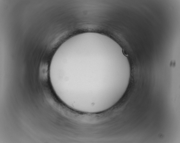 X0000111250024200907161416