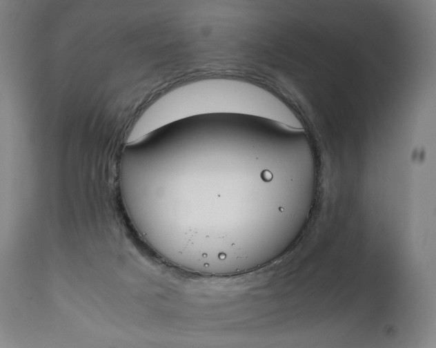 X0000111250025200907161416