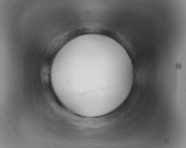 X0000111250026200907161416