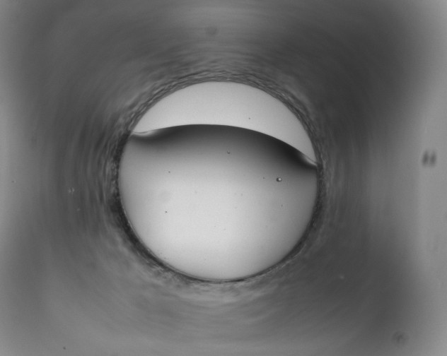 X0000111250029200907161416