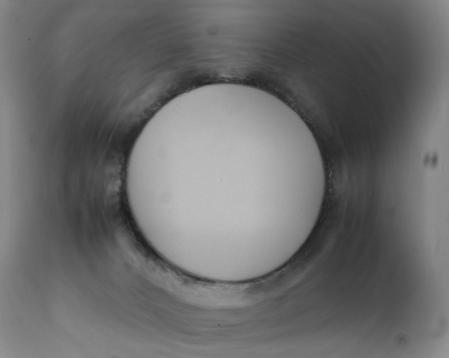 X0000111250032200907161416