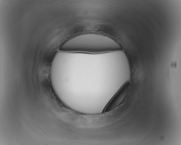 X0000111250033200907161416