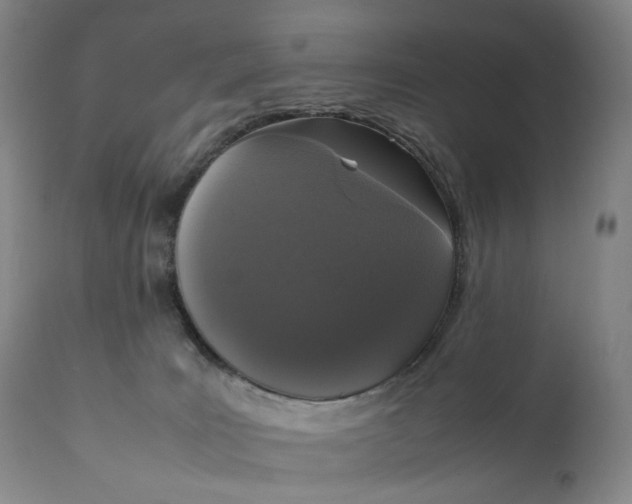 X0000111250035200907161416