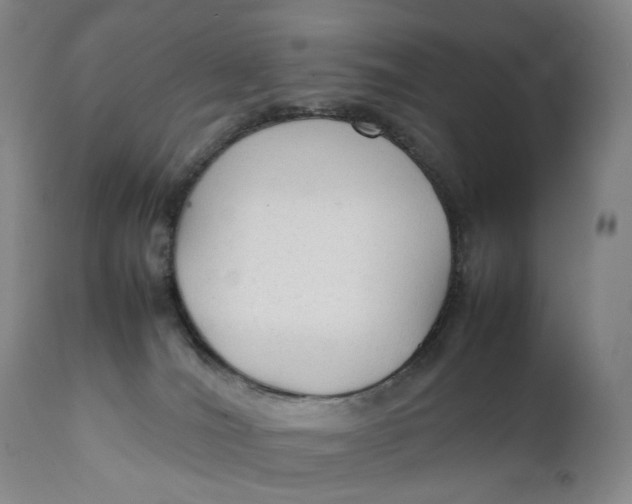 X0000111250036200907161416