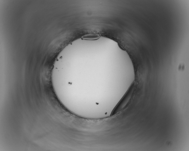 X0000111250037200907161416