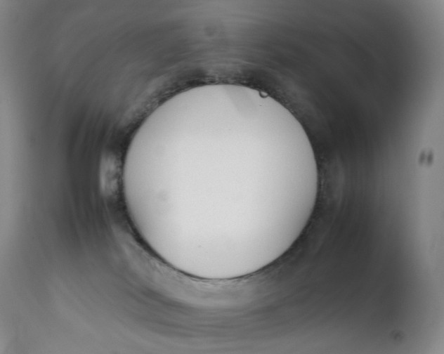 X0000111250038200907161416