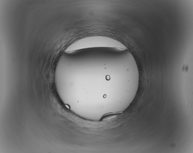 X0000111250039200907161415