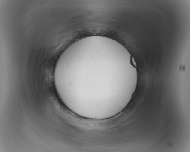 X0000111250040200907161415