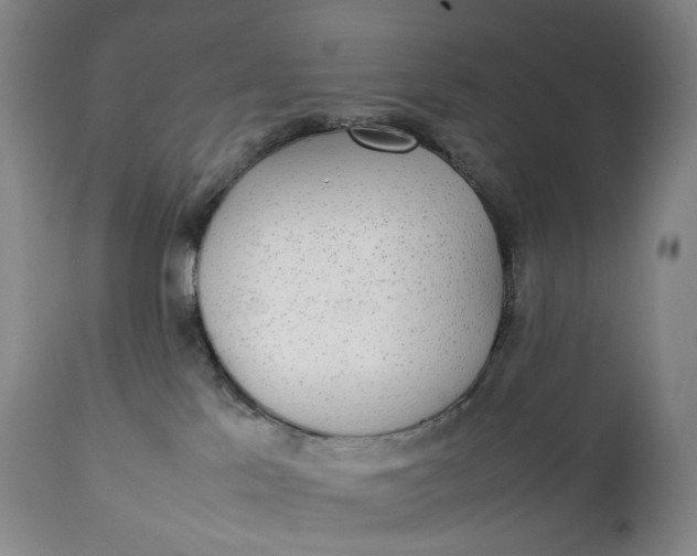 X0000111250041200907161415