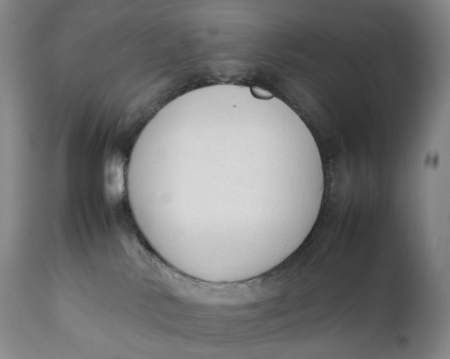 X0000111250042200907161415