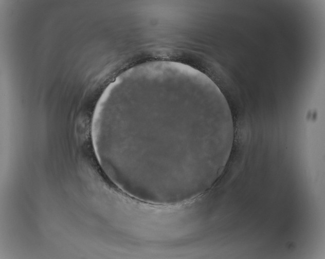 X0000111250043200907161415