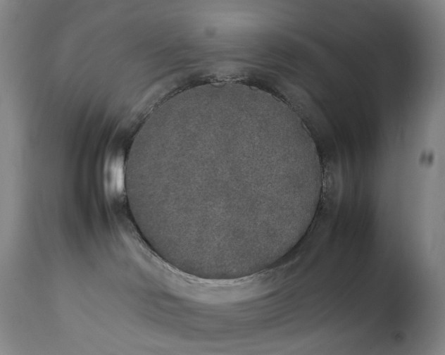 X0000111250046200907161415