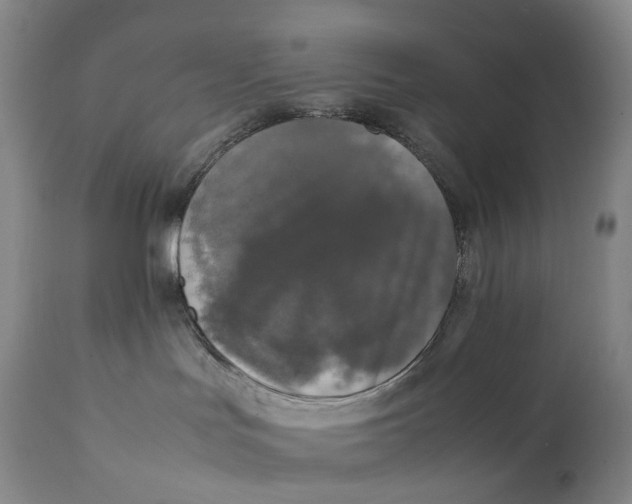 X0000111250047200907161415