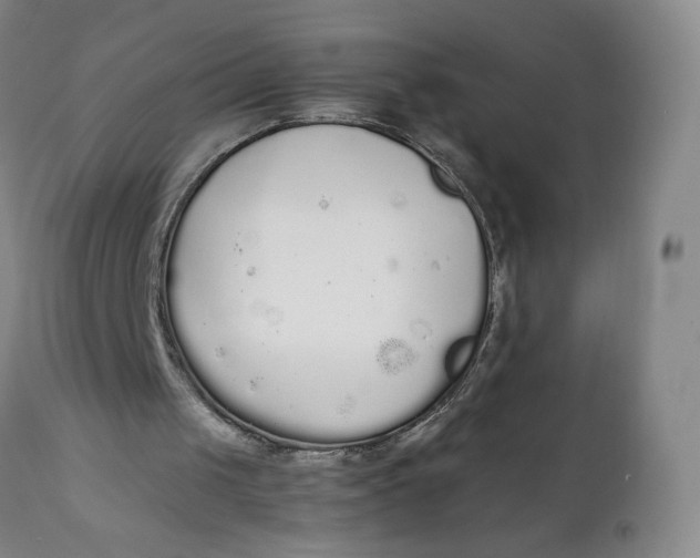 X0000111250049200907161415