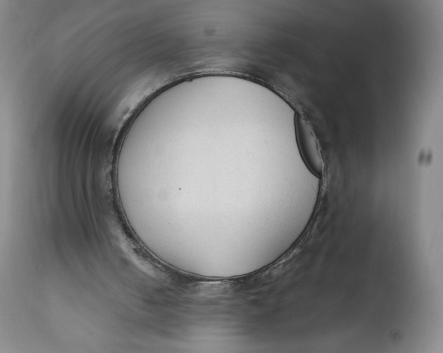 X0000111250050200907161415