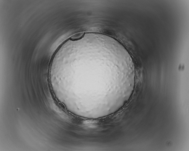 X0000111250051200907161415