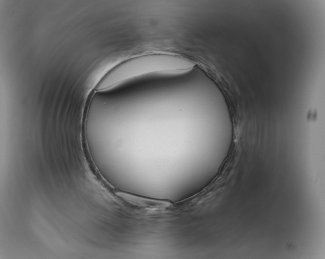 X0000111250052200907161415