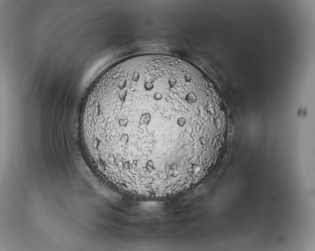 X0000111250053200907161415