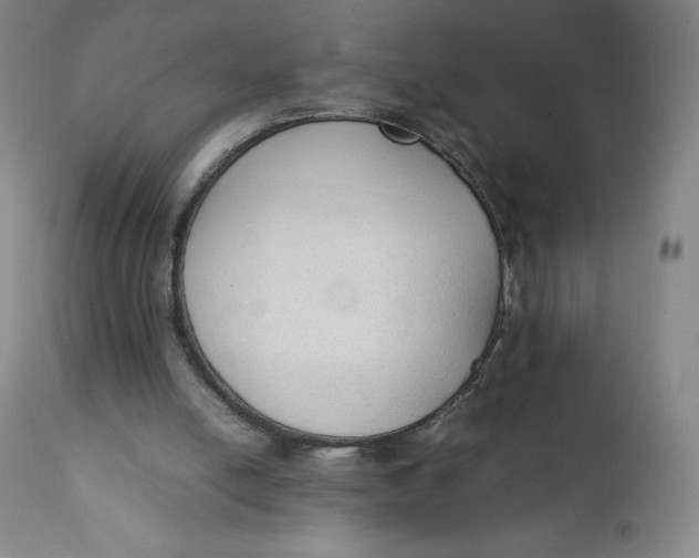 X0000111250054200907161415