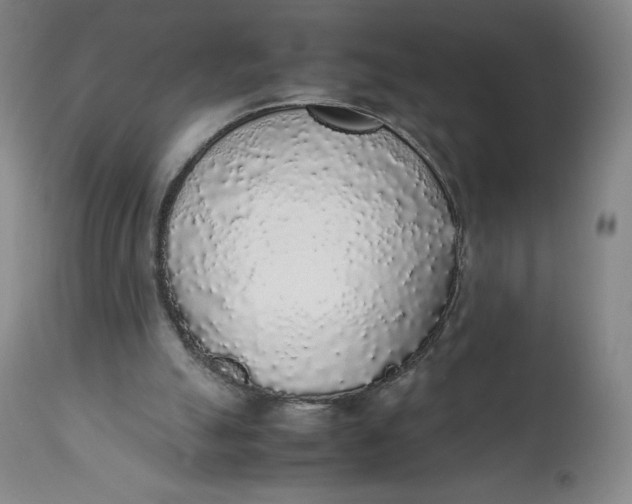 X0000111250055200907161415