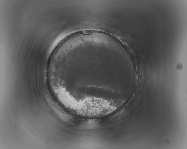 X0000111250056200907161415