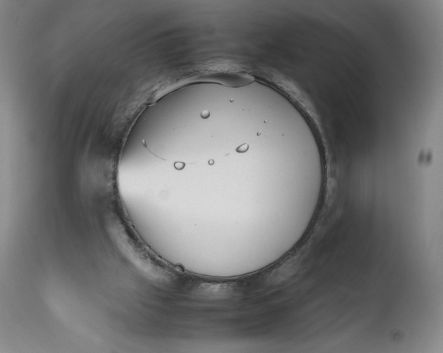 X0000111250057200907161415