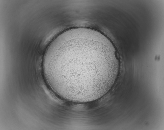 X0000111250058200907161415