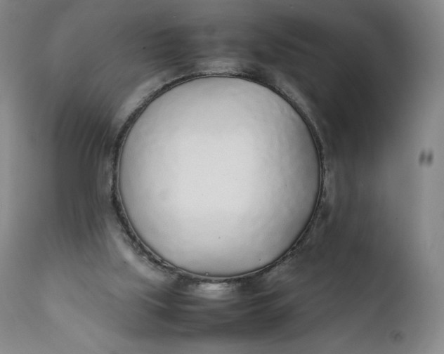 X0000111250059200907161415