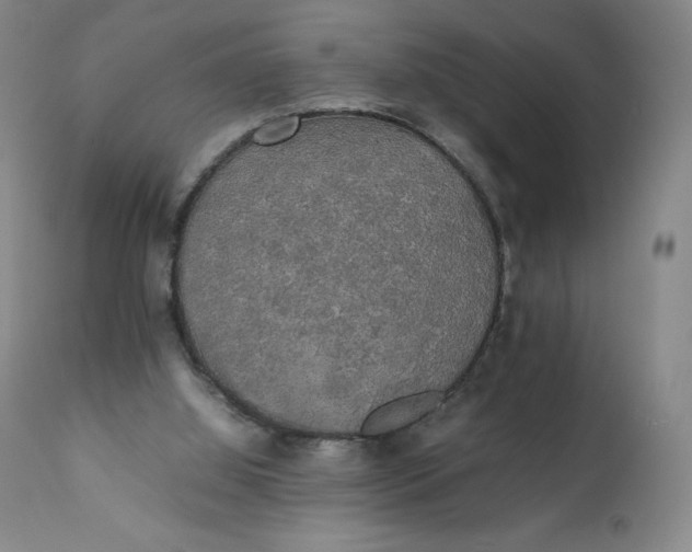 X0000111250060200907161415