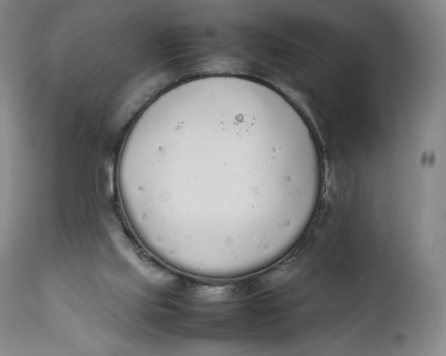 X0000111250061200907161415