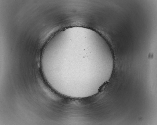 X0000111250062200907161415