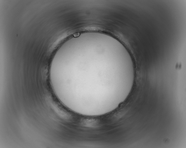 X0000111250063200907161415