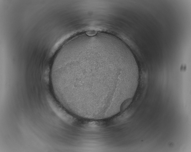 X0000111250064200907161415