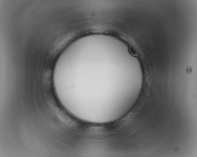 X0000111250066200907161415