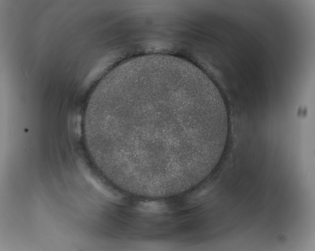 X0000111250067200907161415